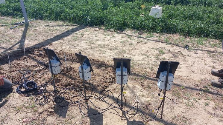 El Instituto Andaluz de Investigación y Formación Agraria, Pesquera, Alimentaria y de la Producción Ecológica (Ifapa) está ensayando un sistema de control agrario mediante Inteligencia Artificial (IA). Ifapa lleva dos años con ensayos experimentales en su sede de Chipiona (Cádiz) y ahora ha instalado dos fincas prototipo. Una en Lebrija (Sevilla) y la otra en Jerez de la Frontera (Cádiz).