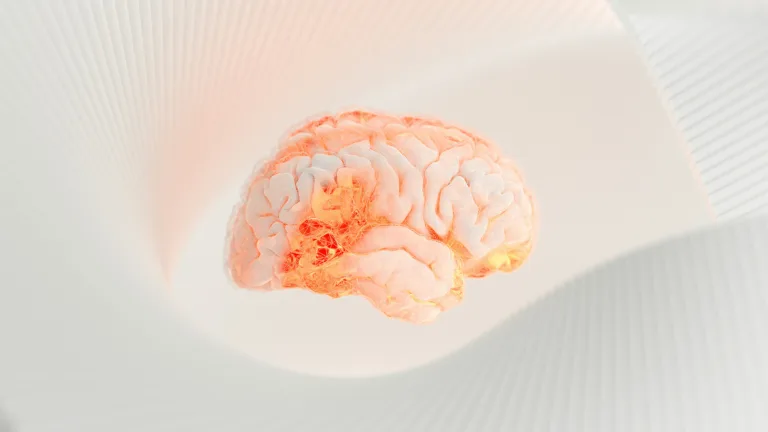 La IA revoluciona el diagnóstico de tumores cerebrales