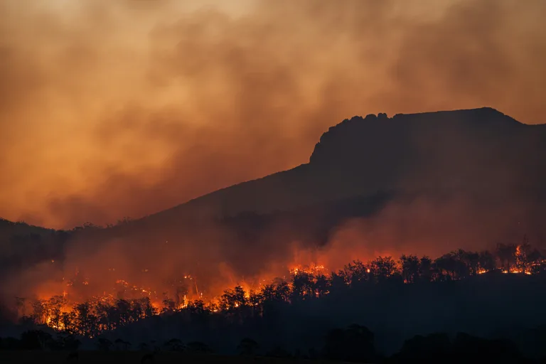 Detección de incendios en 3 minutos gracias a la IA