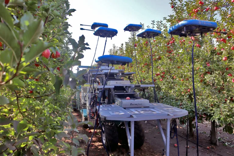 Drones con IA para sustituir a los trabajadores del campo