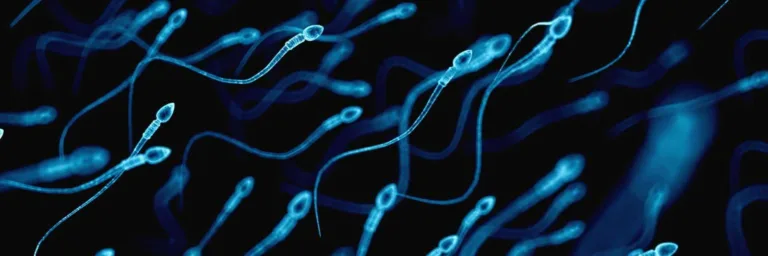 La IA a la caza del espermatozoide sano
