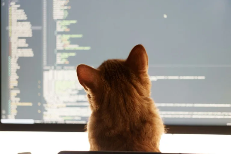 El gato que enseñó a ver a las máquinas: catorce años del experimento que encendió la IA moderna